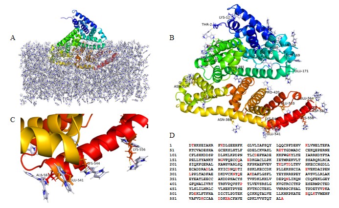 蛋白质-配体相互作用